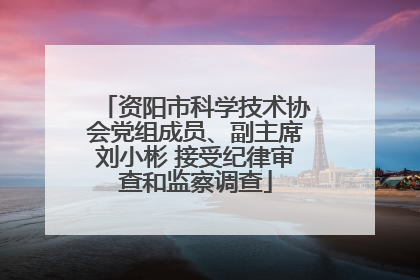 资阳市科学技术协会党组成员、副主席刘小彬 接受纪律审查和监察调查