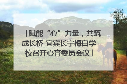 赋能“心”力量，共筑成长桥 宜宾长宁梅白学校召开心育委员会议