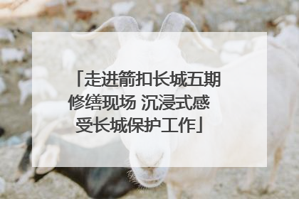 走进箭扣长城五期修缮现场 沉浸式感受长城保护工作