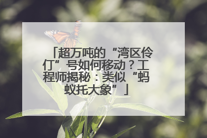 超万吨的“湾区伶仃”号如何移动？工程师揭秘：类似“蚂蚁托大象”