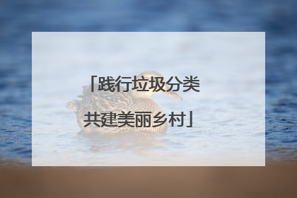 践行垃圾分类 共建美丽乡村
