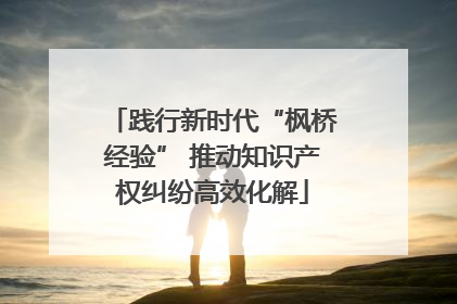 践行新时代“枫桥经验” 推动知识产权纠纷高效化解