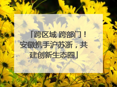 跨区域 跨部门！安徽携手沪苏浙，共建创新生态圈