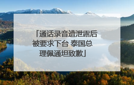 通话录音遭泄露后被要求下台 泰国总理佩通坦致歉