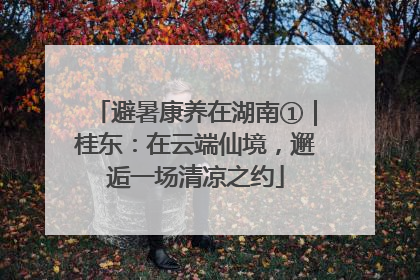 避暑康养在湖南①｜桂东：在云端仙境，邂逅一场清凉之约