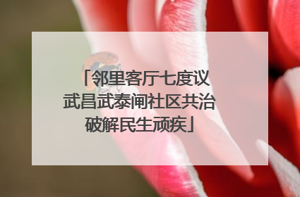 邻里客厅七度议 武昌武泰闸社区共治破解民生顽疾