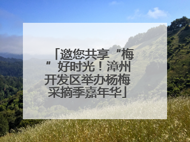 邀您共享“梅”好时光！漳州开发区举办杨梅采摘季嘉年华