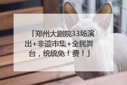 郑州大剧院33场演出+非遗市集+全民舞台，统统免！费！