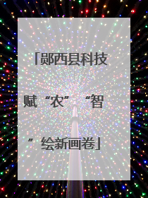 郧西县科技赋“农”“智”绘新画卷