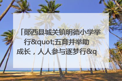 郧西县城关镇明德小学举行"五育并举助成长，人人参与逐梦行"庆六一活动