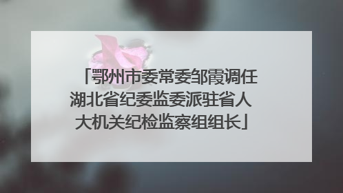 鄂州市委常委邹霞调任湖北省纪委监委派驻省人大机关纪检监察组组长