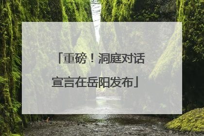 重磅！洞庭对话宣言在岳阳发布