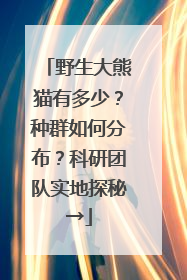 野生大熊猫有多少？种群如何分布？科研团队实地探秘→