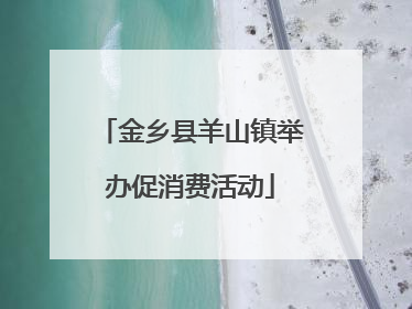 金乡县羊山镇举办促消费活动