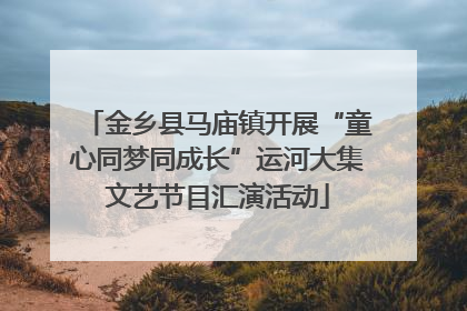 金乡县马庙镇开展“童心同梦同成长”运河大集文艺节目汇演活动