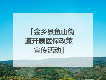 金乡县鱼山街道开展医保政策宣传活动