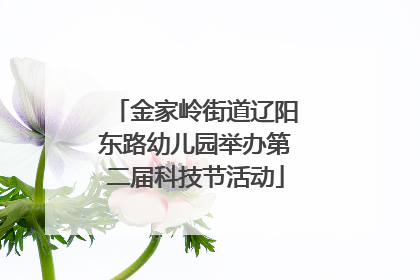 金家岭街道辽阳东路幼儿园举办第二届科技节活动