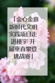 金心金意新时代文明实践项目走进楼宇 开展垂直攀登挑战赛