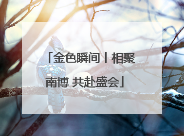 金色瞬间丨相聚南博 共赴盛会