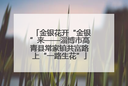 金银花开“金银”来——淄博市高青县常家镇共富路上“一路生花”