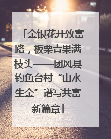 金银花开致富路，板栗青果满枝头——团风县钓鱼台村“山水生金”谱写共富新篇章