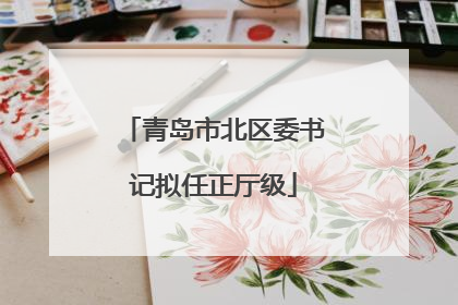 青岛市北区委书记拟任正厅级