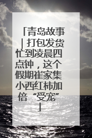 青岛故事｜打包发货忙到凌晨四点钟，这个假期崔家集小西红柿加倍“受宠”