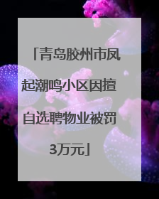 青岛胶州市凤起潮鸣小区因擅自选聘物业被罚3万元