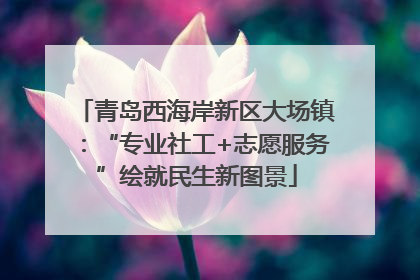 青岛西海岸新区大场镇：“专业社工+志愿服务”绘就民生新图景