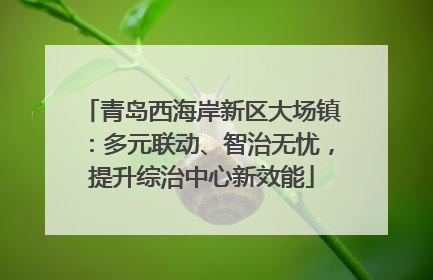 青岛西海岸新区大场镇：多元联动、智治无忧，提升综治中心新效能