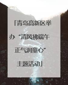 青岛高新区举办“清风拂端午 正气润童心”主题活动