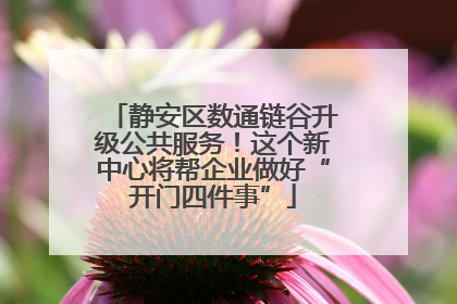 静安区数通链谷升级公共服务！这个新中心将帮企业做好“开门四件事”