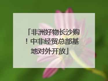 非洲好物长沙购！中非经贸总部基地对外开放