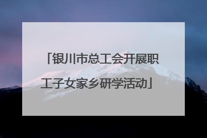 银川市总工会开展职工子女家乡研学活动