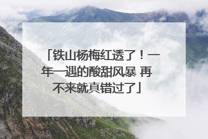 铁山杨梅红透了！一年一遇的酸甜风暴 再不来就真错过了