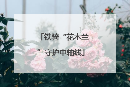 铁骑“花木兰”守护中轴线