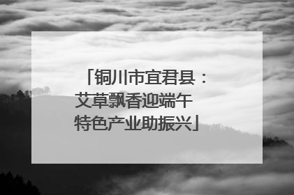 铜川市宜君县：艾草飘香迎端午 特色产业助振兴