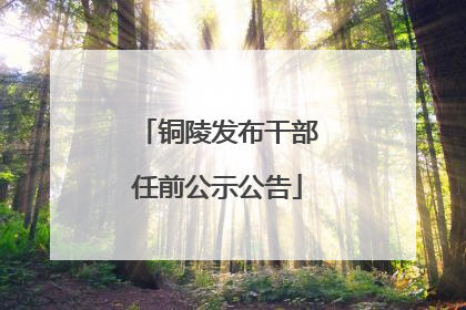 铜陵发布干部任前公示公告