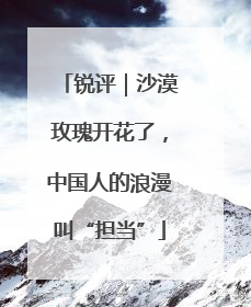 锐评｜沙漠玫瑰开花了，中国人的浪漫叫“担当”
