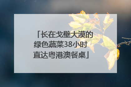 长在戈壁大漠的绿色蔬菜38小时直达粤港澳餐桌
