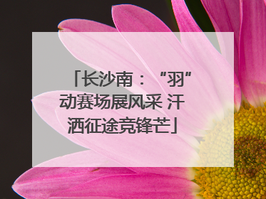 长沙南：“羽”动赛场展风采 汗洒征途竞锋芒