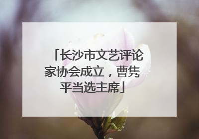 长沙市文艺评论家协会成立，曹隽平当选主席