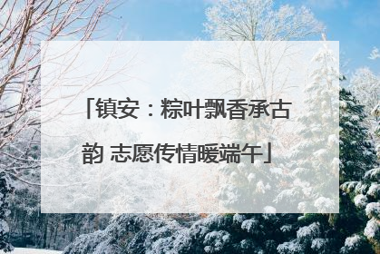 镇安：粽叶飘香承古韵 志愿传情暖端午