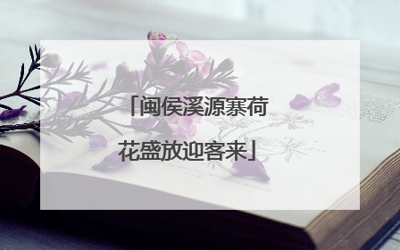 闽侯溪源寨荷花盛放迎客来