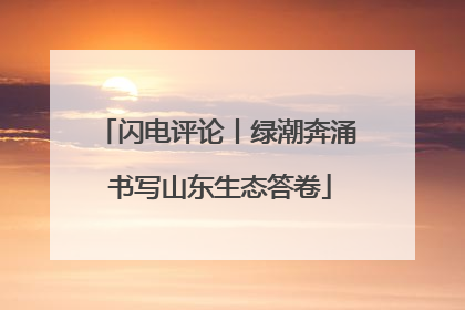 闪电评论丨绿潮奔涌 书写山东生态答卷