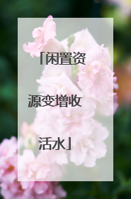 闲置资源变增收活水