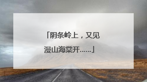 阴条岭上，又见漫山海棠开……