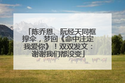 陈乔恩、阮经天同框撑伞，梦回《命中注定我爱你》！双双发文：谢谢我们都没变