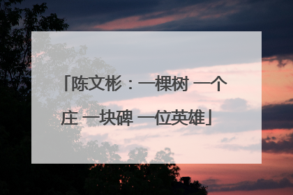陈文彬：一棵树 一个庄 一块碑 一位英雄