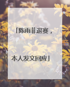 陈雨菲退赛，本人发文回应
